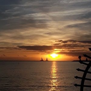 Meet your Posher, Martin